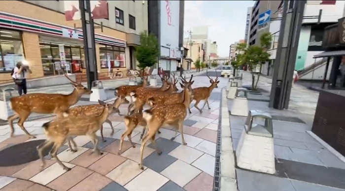2020年7月19日